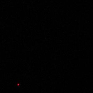 Meet your Posher, Claire